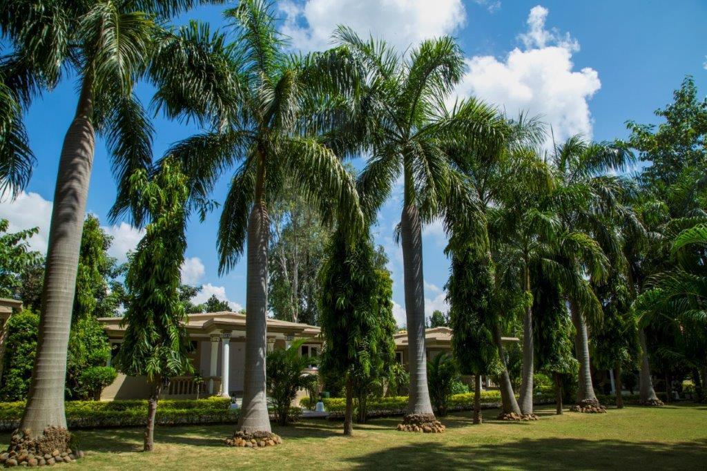 Tiger'S Den Resort Bandhavgarh National Park Dış mekan fotoğraf