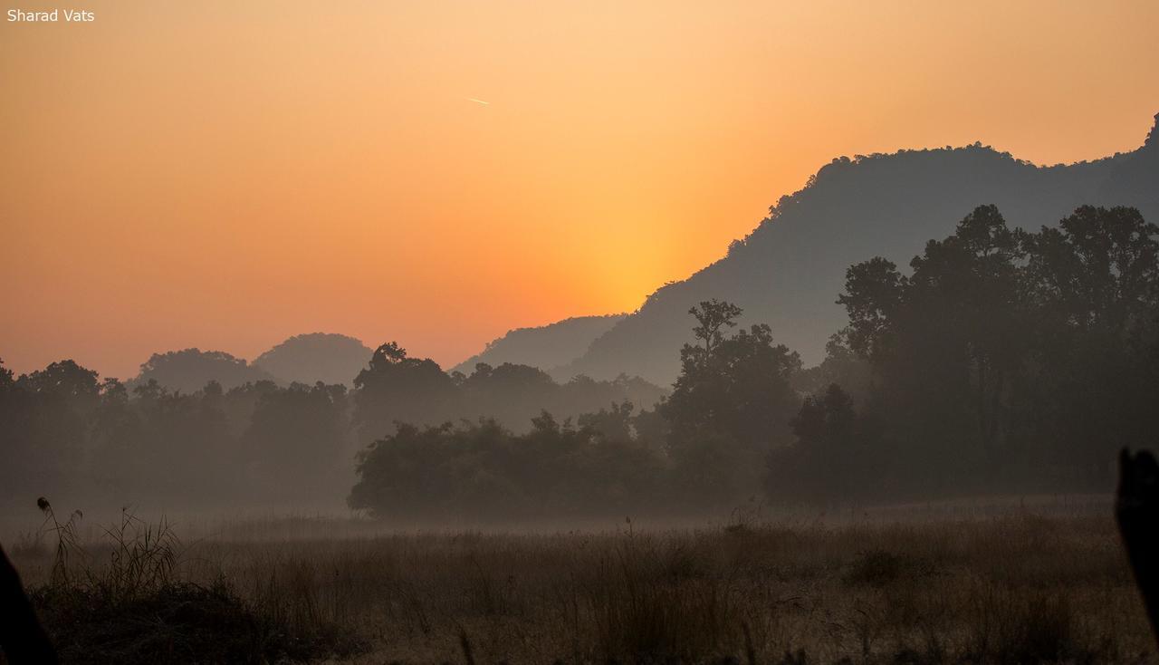 Tiger'S Den Resort Bandhavgarh National Park Dış mekan fotoğraf